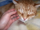 Picture 015.jpg
